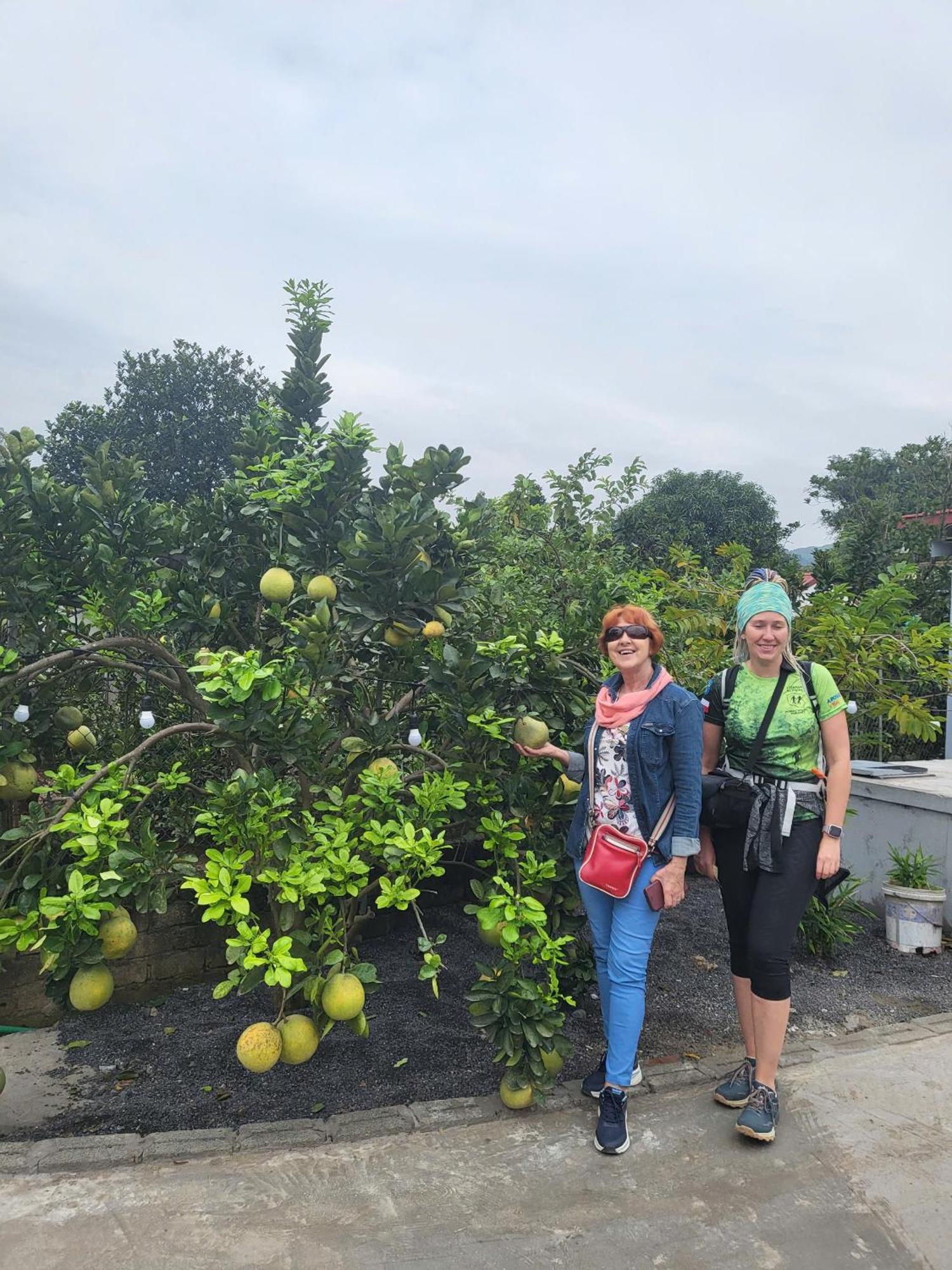 닌빈 Tam Coc Pomelo Garden 아파트 외부 사진
