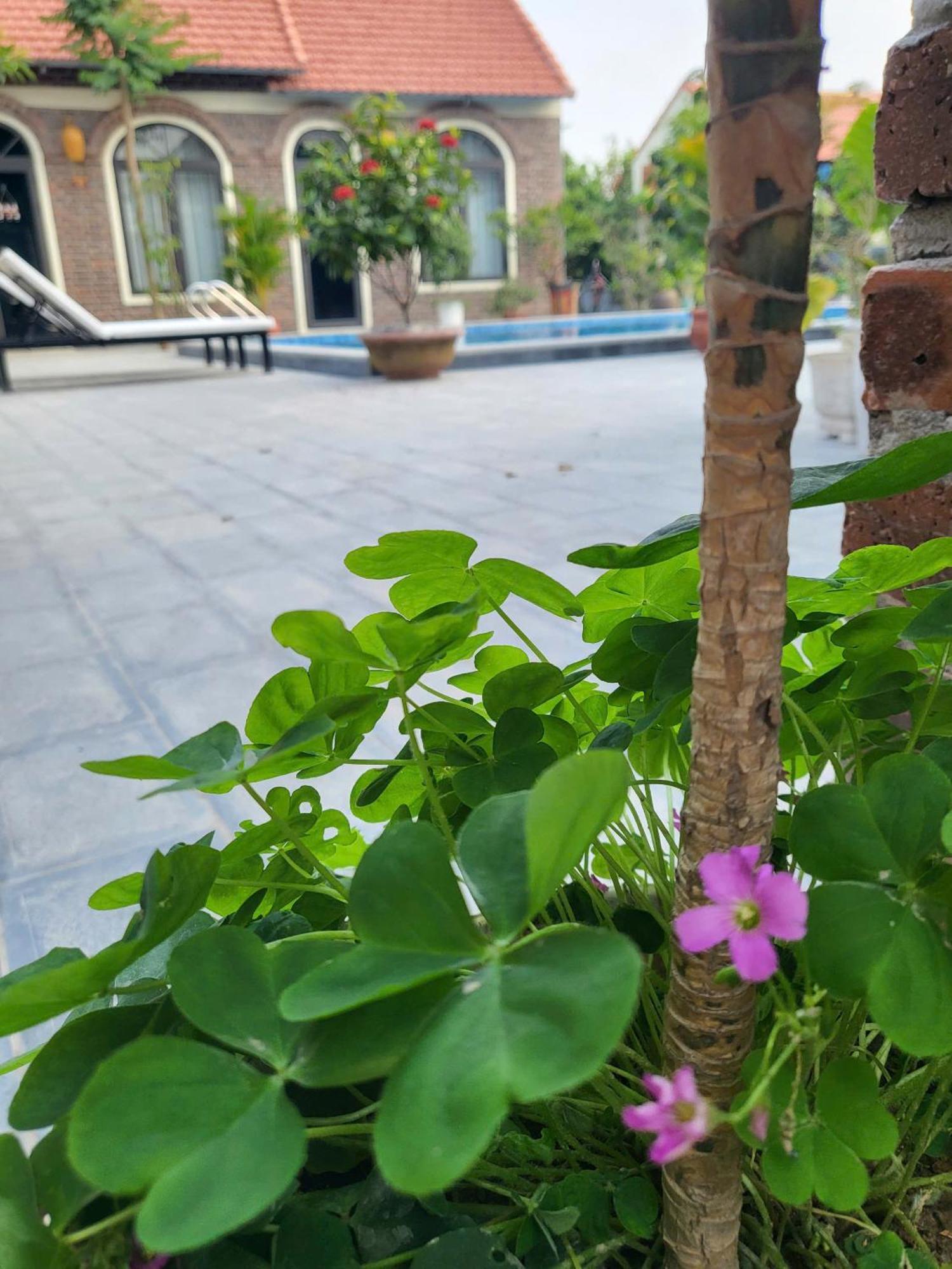 닌빈 Tam Coc Pomelo Garden 아파트 외부 사진